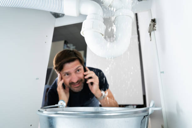 Best Leak Detection Services  in Hamilton, AL