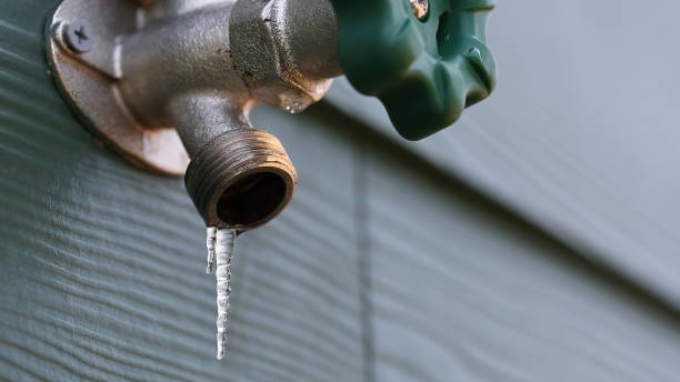 Best Sewer Line Repair  in Hamilton, AL